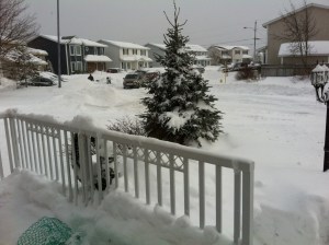 Jasper Street Dec. 2013