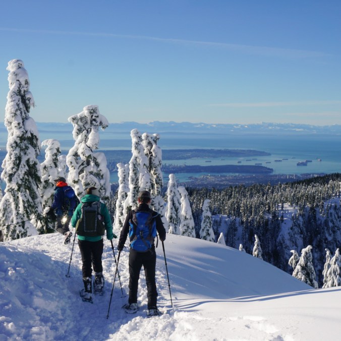 A group of snowshoers head downhill in winter on a snowy mountain with snow covered trees and a view of Vancouver city in the background from Brockton Point in Seymour Mountain Provincial Park in British Columbia, Canada.