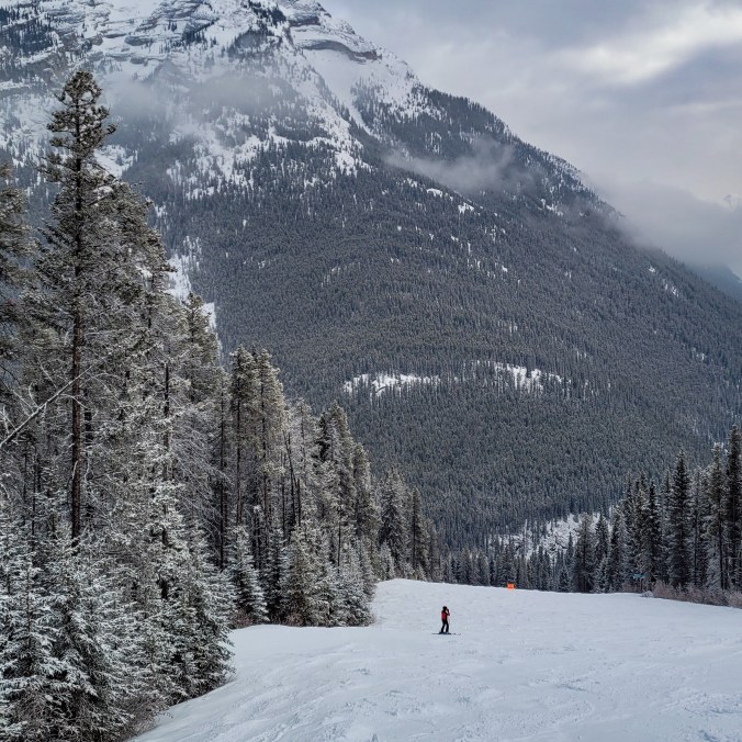 A snow covered ski run at Norquay ski resort, with snowy trees and the snow covered Rocky Mountains in the background in Banff National Park in Alberta, Canada.