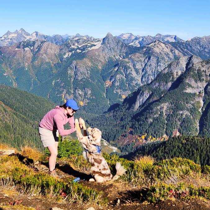 A photo of a female hiker and her red merle Australian Shepherd dog doing a high five in front of the North Cascades Mountains on a sunny day from Winchester Mountain in the Mount Baker Wilderness Area in Washington State.