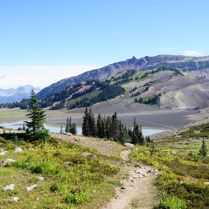 A hiking trail extends through the alpine of Garibaldi Provincial Park towards Helm Lake, with the forest and mountains in the background on a sunny day in British Columbia, Canada