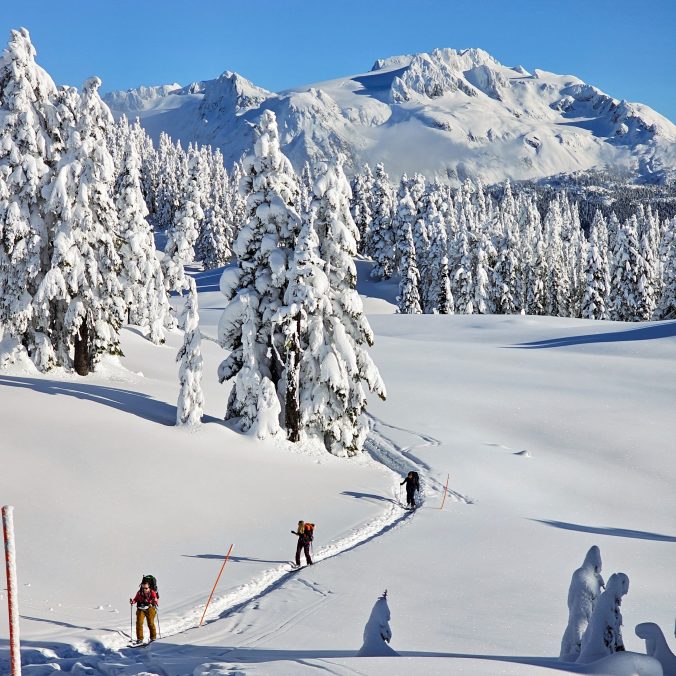 A group of 3 skiers traverse the ridge on the way to the Elfin Shelter at Elfin Lakes in Garibaldi Provincial Park, BC. It's a beautiful sunny day with lots of snow and the forest and Diamond Head Mountain in the background.