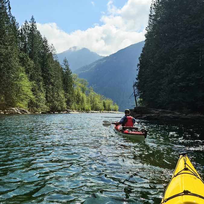 Two kayakers paddle up Gold Creek on a sunny day on Alouette Lake in Golden Ears Provincial Park. BC, with the forests and mountains in the background.
