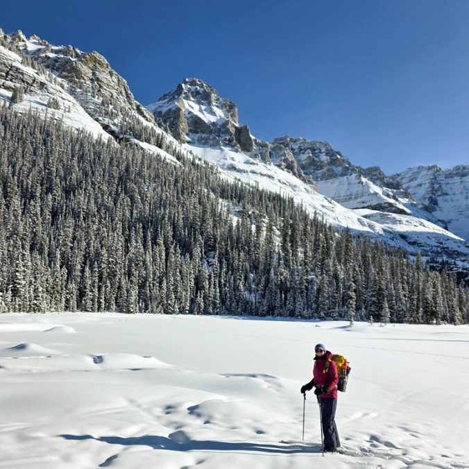 A female skier tours across the snow on Lake O'Hara with the mountains in the background on a blue sky, sunny day in Yoho National Park in BC.